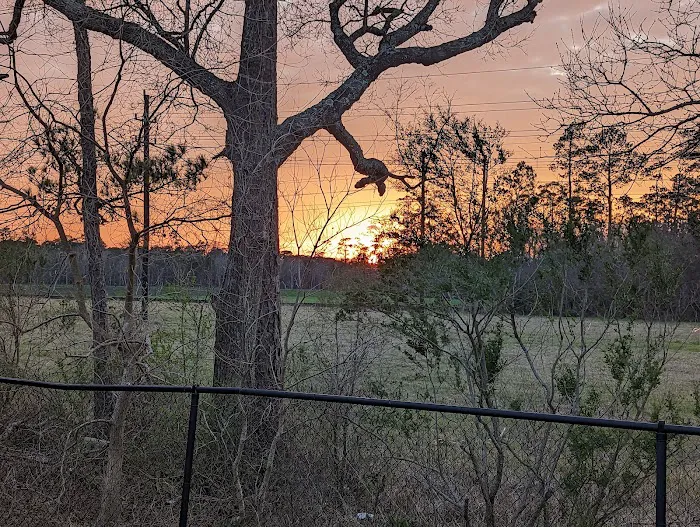 Bayou Bend RV Resort 3