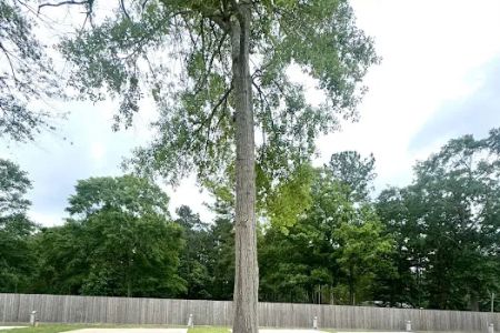 Rose Hill RV Park