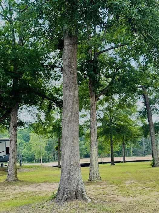 Rose Hill RV Park 7