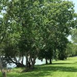 Hidden Lake RV Park