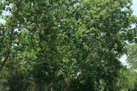Hidden Lake RV Park