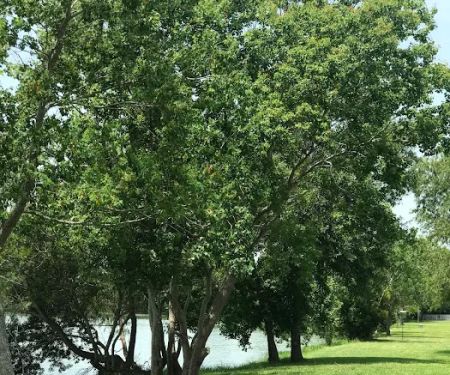 Hidden Lake RV Park