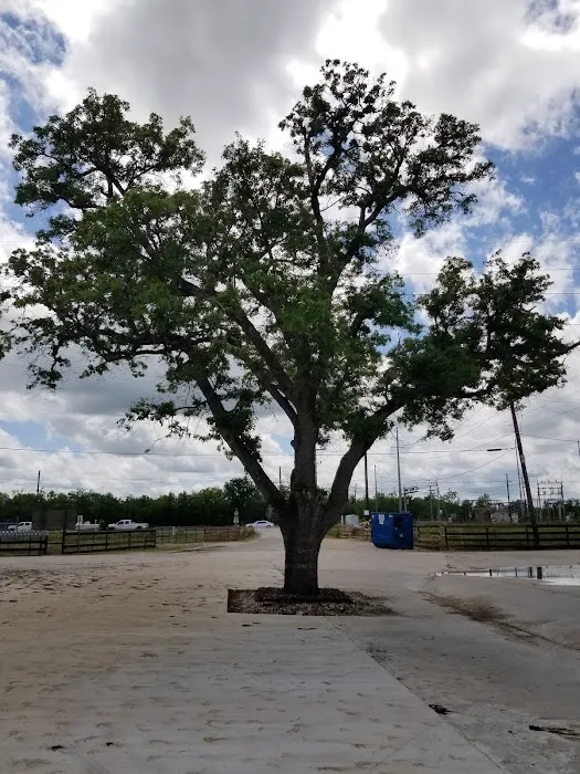 AAA RV Park 4