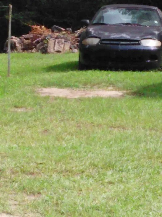 Forestry Department 5