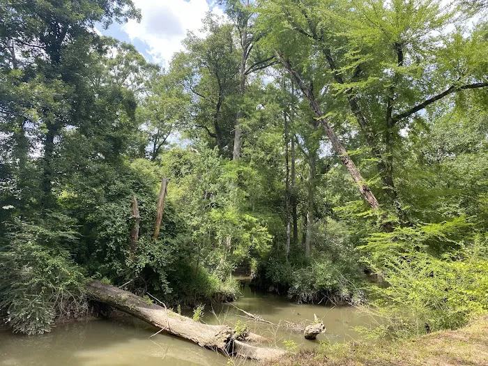 Tickfawriver cabin resort 3