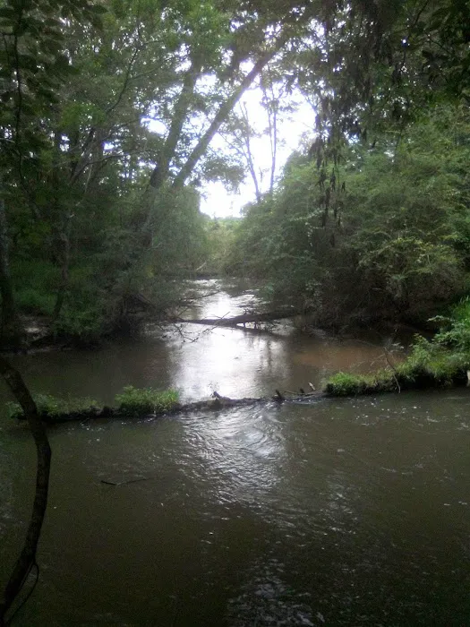 Tickfawriver cabin resort 10