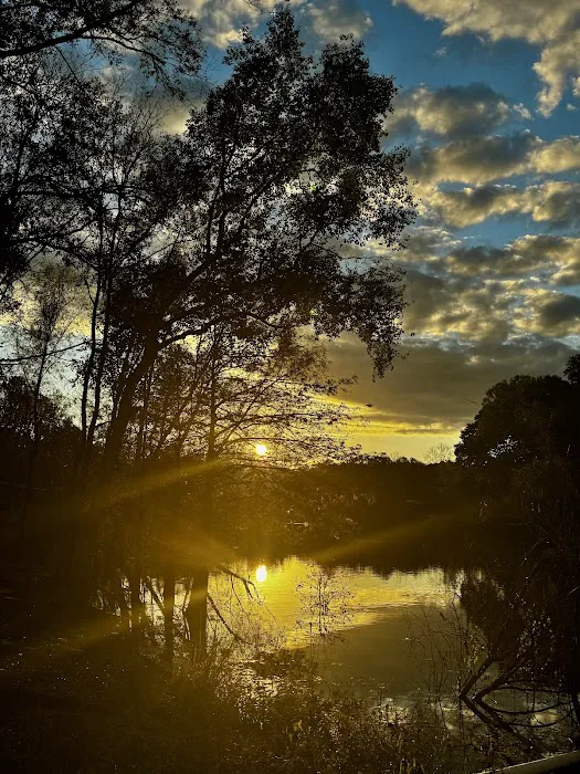 Davis Roadside Park 8