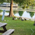 Poche's Rv Park & Fish-N-Camp