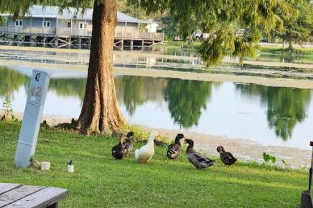 Poche's Rv Park & Fish-N-Camp