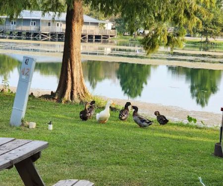 Poche's Rv Park & Fish-N-Camp
