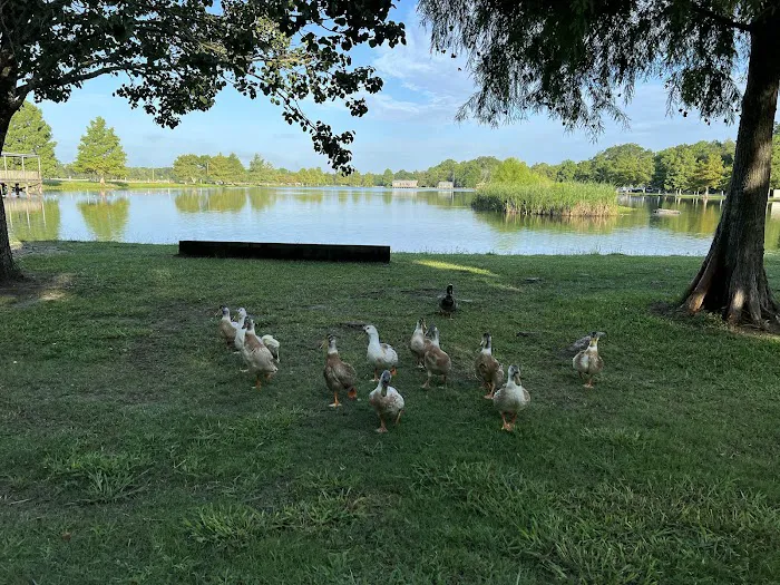 Poche's Rv Park & Fish-N-Camp 3