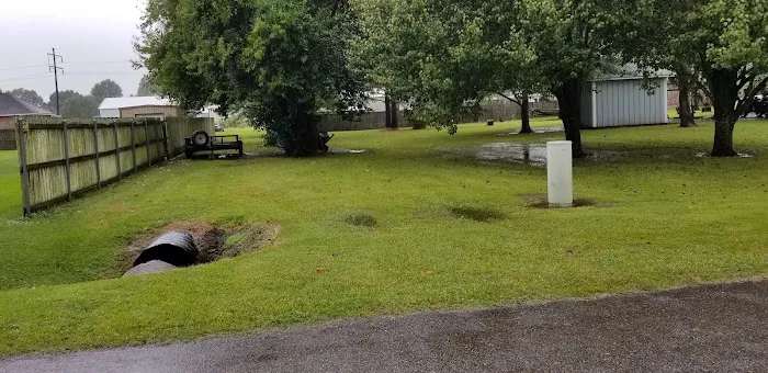 Trailer Park 8