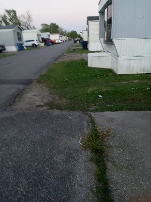 Trailer Park 1
