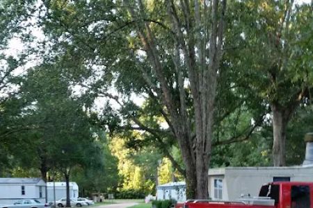 Shady Springs Mobile Home