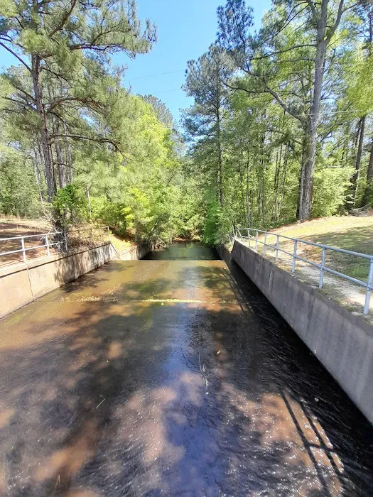 Lake Mary Crawford 2