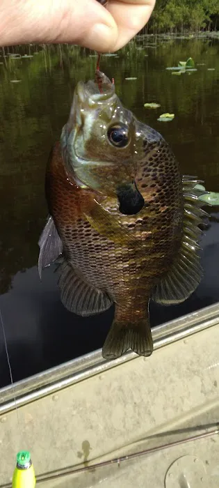 Lake Mary Crawford 7