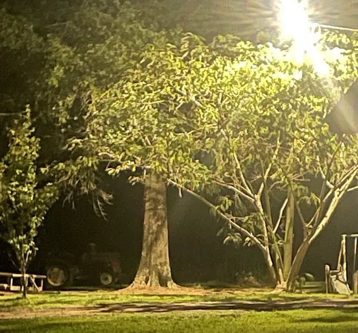 Back Home RV Park Monticello, MS 5