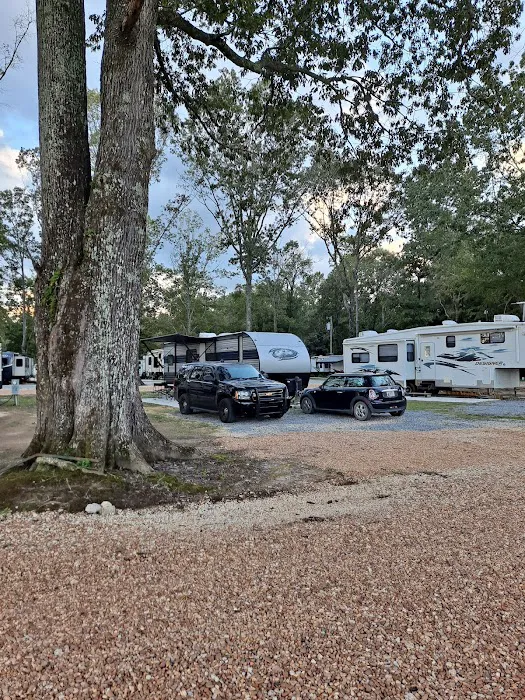 Shady Pines RV Park 4