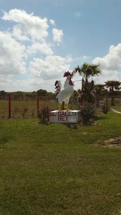 Red Oak Ranch 8