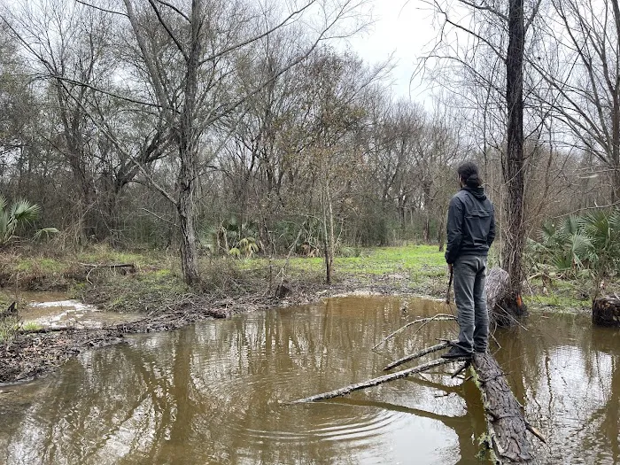 The Dam Spot 2