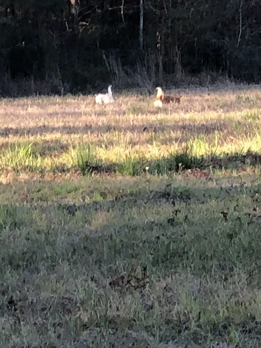 River Valley RV Park 1
