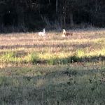 River Valley RV Park