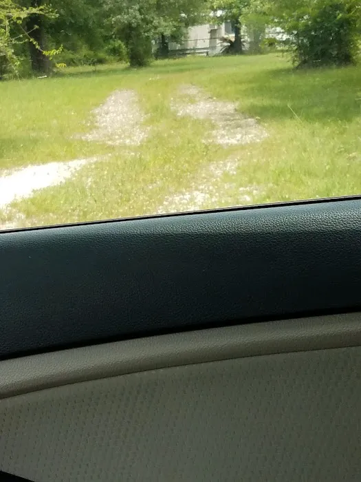 Magnolia Pines RV Park 9