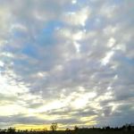 Magnolia Pines RV Park