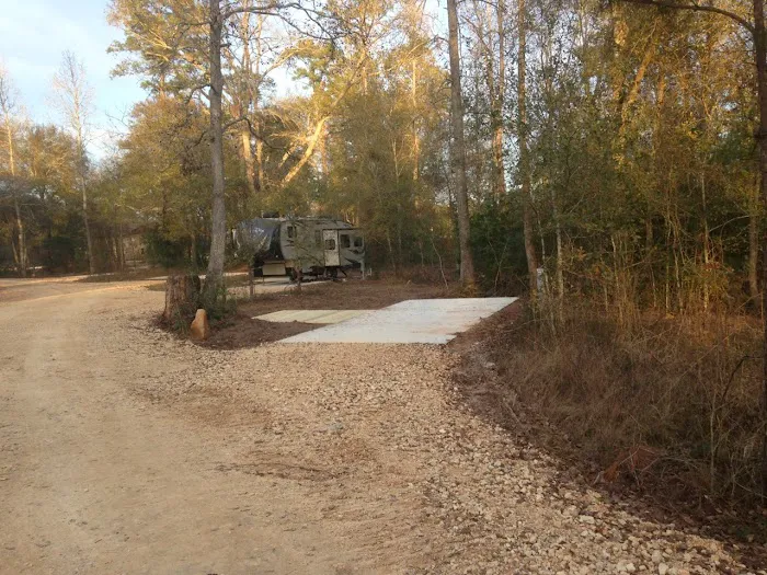 Magnolia Forest 1