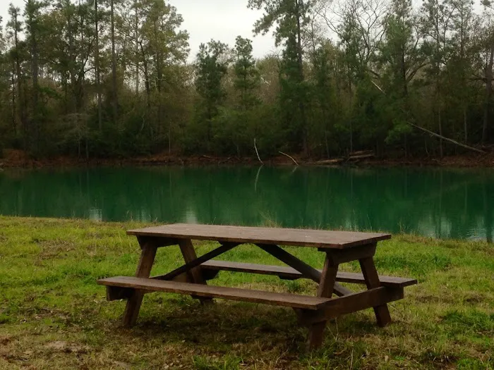Magnolia Forest 7