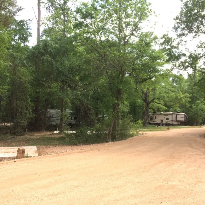 Magnolia Forest 6