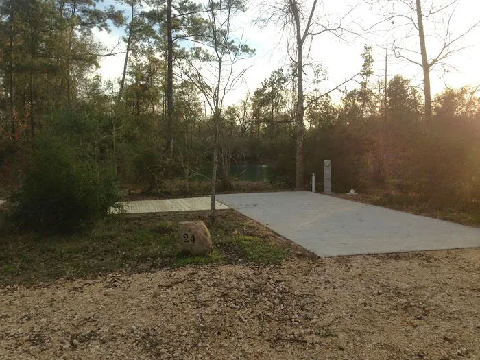 Magnolia Forest 5