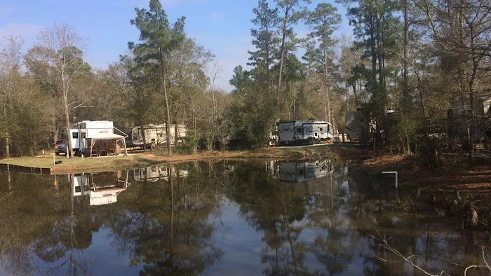 Magnolia Forest 10