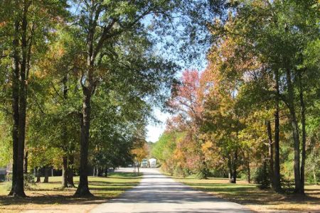 Timber Ridge RV Village