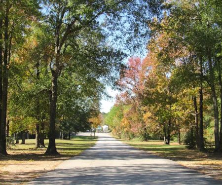 Timber Ridge RV Village