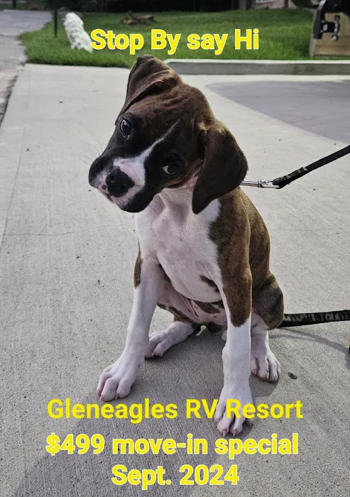 Gleneagles RV Resort 10