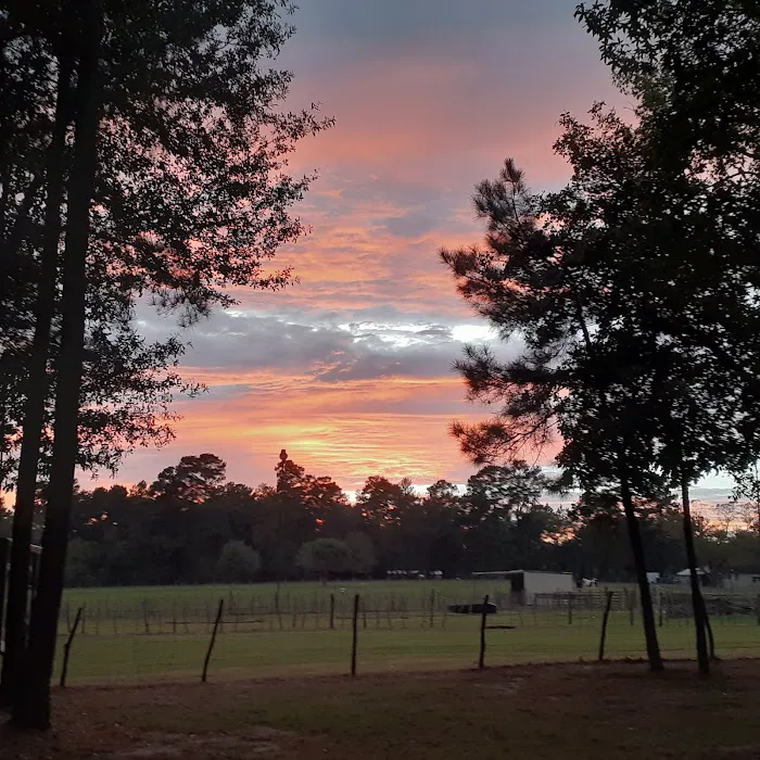 Old County Ranch RV Park 1