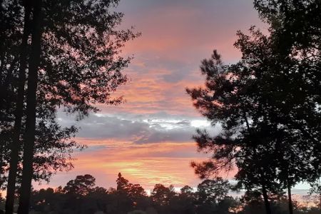 Old County Ranch RV Park