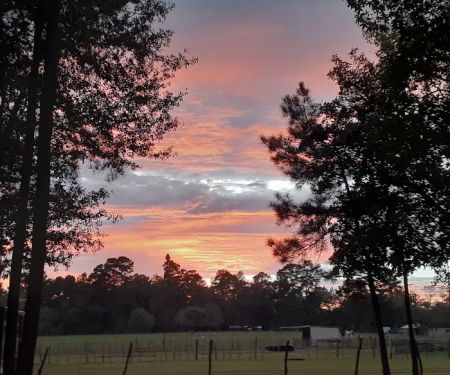 Old County Ranch RV Park