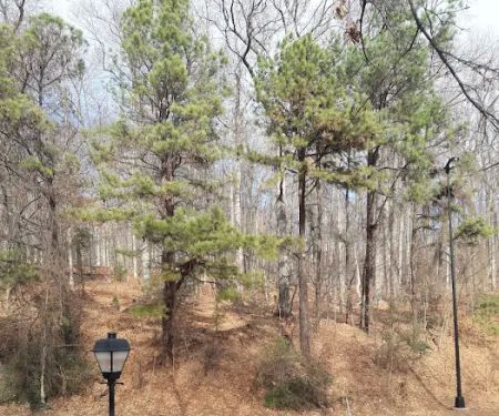 Bruceville Eddy RV Park