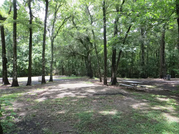 Acadiana Park Campground 1