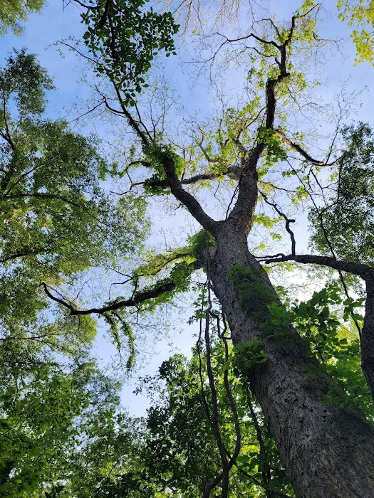 Acadiana Park Campground 10