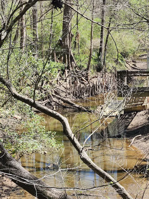 Acadiana Park Campground 4