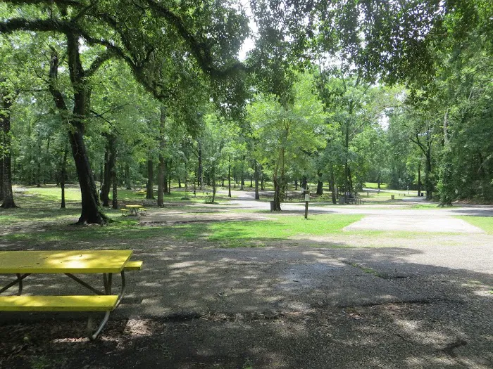 Acadiana Park Campground 6