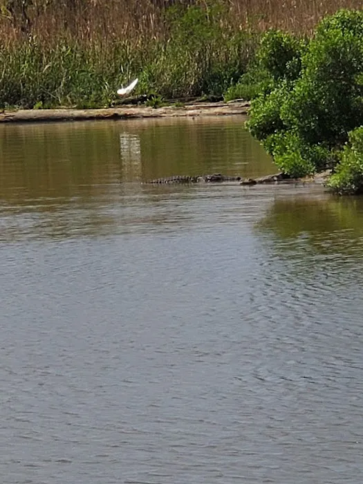 Alligator Alley RV Park 2