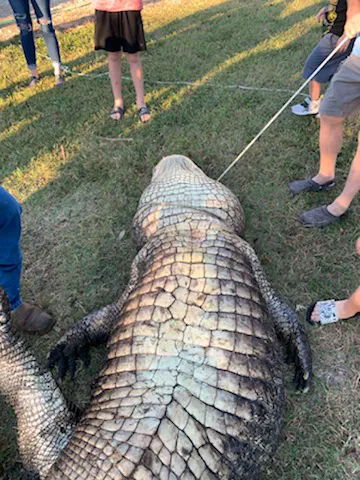 Alligator Alley RV Park 7
