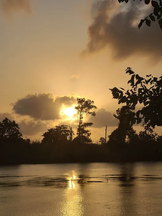Alligator Alley RV Park 5