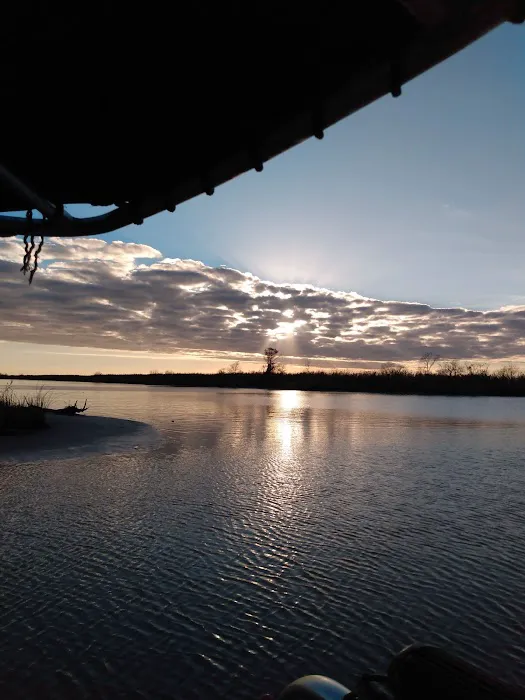 Alligator Alley RV Park 6