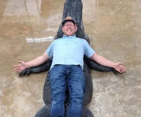 Alligator Alley RV Park