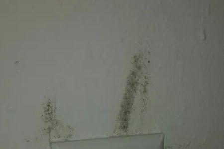 Sjolander Mobile Home Park